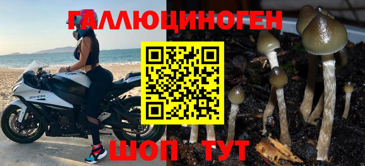 Псилоцибиновые грибы GOLDEN TEACHER Борзя